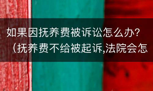 如果因抚养费被诉讼怎么办？（抚养费不给被起诉,法院会怎么处理）