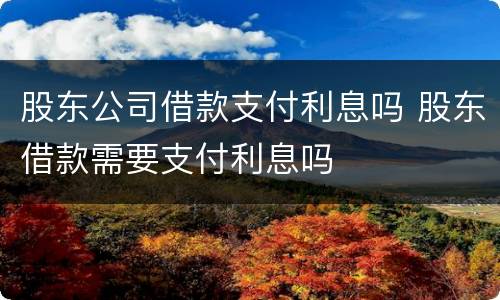 股东公司借款支付利息吗 股东借款需要支付利息吗