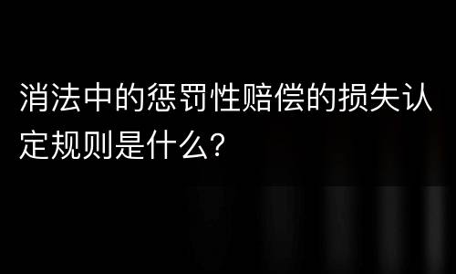 消法中的惩罚性赔偿的损失认定规则是什么？