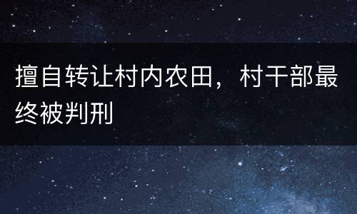 擅自转让村内农田，村干部最终被判刑