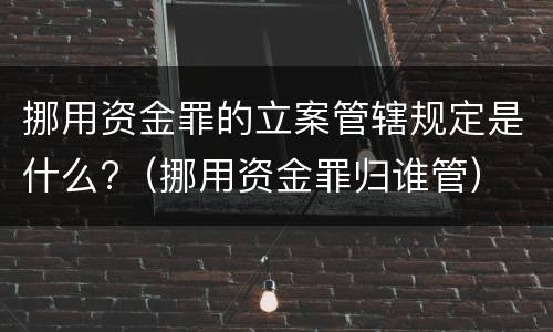 挪用资金罪的立案管辖规定是什么?（挪用资金罪归谁管）