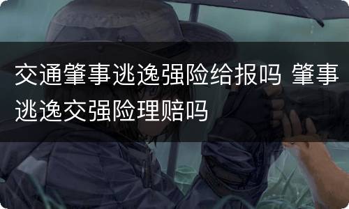 交通肇事逃逸强险给报吗 肇事逃逸交强险理赔吗