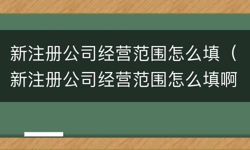 新注册公司经营范围怎么填（新注册公司经营范围怎么填啊）