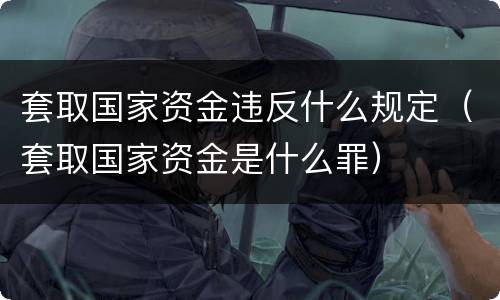 套取国家资金违反什么规定（套取国家资金是什么罪）