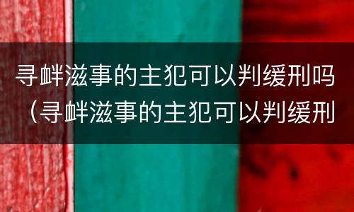 寻衅滋事的主犯可以判缓刑吗（寻衅滋事的主犯可以判缓刑吗知乎）