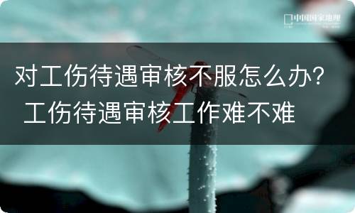 对工伤待遇审核不服怎么办？ 工伤待遇审核工作难不难