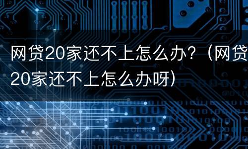 网贷20家还不上怎么办?（网贷20家还不上怎么办呀）