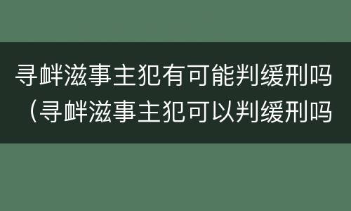 寻衅滋事主犯有可能判缓刑吗（寻衅滋事主犯可以判缓刑吗）