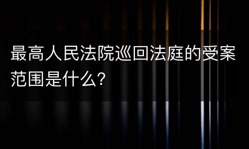 最高人民法院巡回法庭的受案范围是什么？