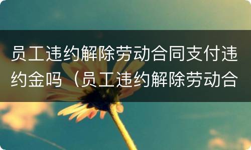 员工违约解除劳动合同支付违约金吗（员工违约解除劳动合同支付违约金吗合法吗）