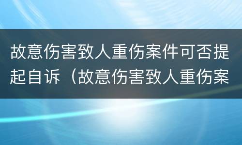 故意伤害致人重伤案件可否提起自诉（故意伤害致人重伤案件可否提起自诉申请）