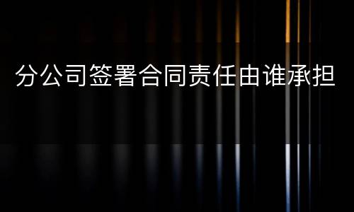 分公司签署合同责任由谁承担