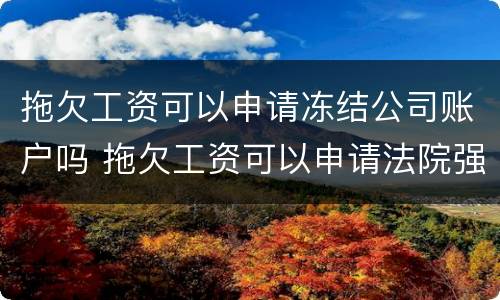 拖欠工资可以申请冻结公司账户吗 拖欠工资可以申请法院强制执行吗