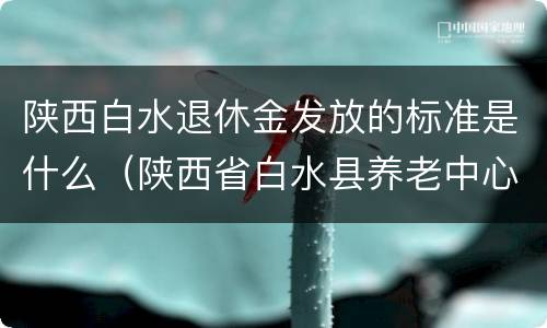 陕西白水退休金发放的标准是什么（陕西省白水县养老中心电话）