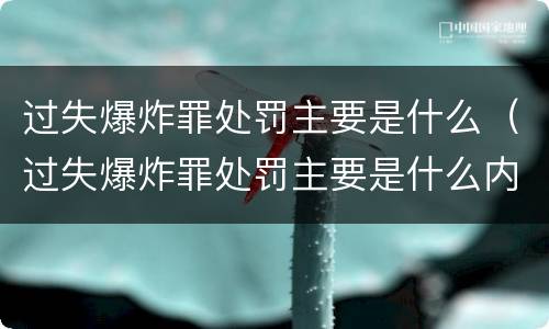 过失爆炸罪处罚主要是什么（过失爆炸罪处罚主要是什么内容）