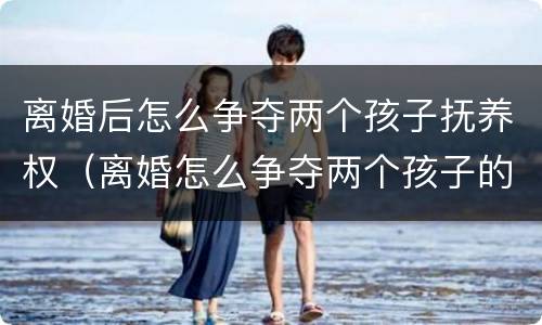 离婚后怎么争夺两个孩子抚养权（离婚怎么争夺两个孩子的抚养权）