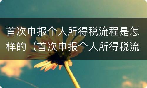 首次申报个人所得税流程是怎样的（首次申报个人所得税流程是怎样的呢）