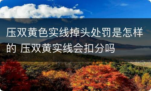 压双黄色实线掉头处罚是怎样的 压双黄实线会扣分吗