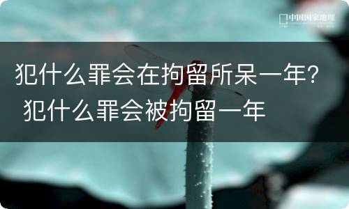 犯什么罪会在拘留所呆一年？ 犯什么罪会被拘留一年