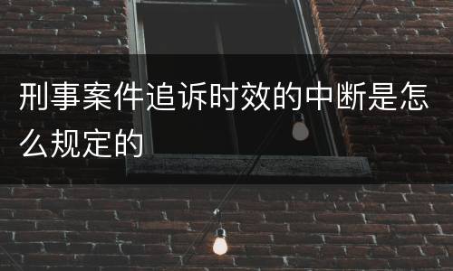 刑事案件追诉时效的中断是怎么规定的