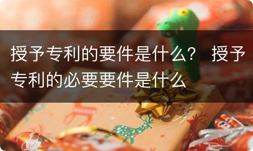 授予专利的要件是什么？ 授予专利的必要要件是什么