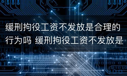 缓刑拘役工资不发放是合理的行为吗 缓刑拘役工资不发放是合理的行为吗知乎