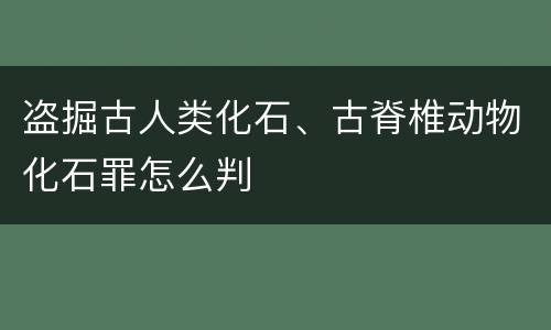 盗掘古人类化石、古脊椎动物化石罪怎么判