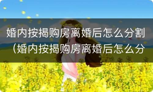 婚内按揭购房离婚后怎么分割（婚内按揭购房离婚后怎么分割房产）