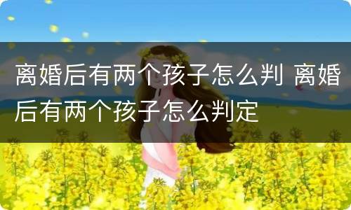 离婚后有两个孩子怎么判 离婚后有两个孩子怎么判定