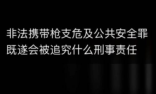 非法携带枪支危及公共安全罪既遂会被追究什么刑事责任