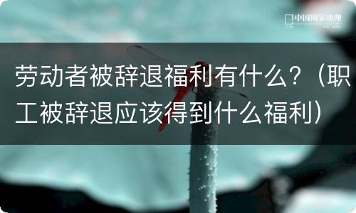 劳动者被辞退福利有什么?（职工被辞退应该得到什么福利）