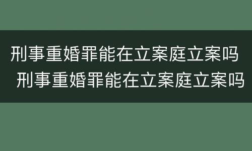 刑事重婚罪能在立案庭立案吗 刑事重婚罪能在立案庭立案吗