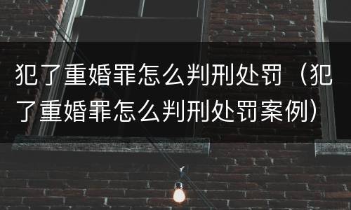 犯了重婚罪怎么判刑处罚（犯了重婚罪怎么判刑处罚案例）