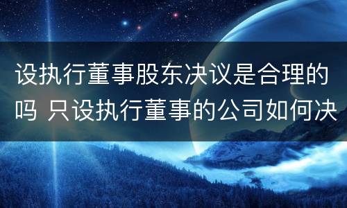 设执行董事股东决议是合理的吗 只设执行董事的公司如何决议