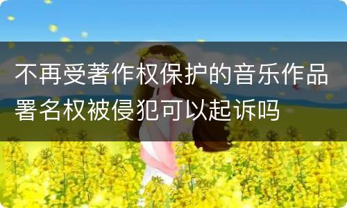 不再受著作权保护的音乐作品署名权被侵犯可以起诉吗