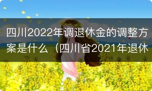 四川2022年调退休金的调整方案是什么（四川省2021年退休工资上调计算方法）