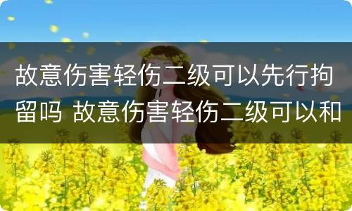 故意伤害轻伤二级可以先行拘留吗 故意伤害轻伤二级可以和解吗