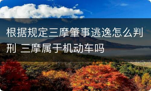 根据规定三摩肇事逃逸怎么判刑 三摩属于机动车吗