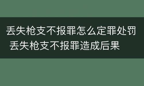 丢失枪支不报罪怎么定罪处罚 丢失枪支不报罪造成后果