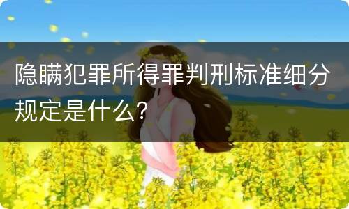 隐瞒犯罪所得罪判刑标准细分规定是什么？