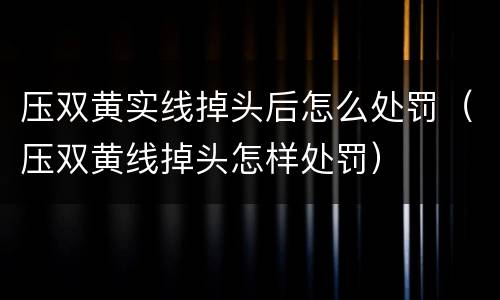 压双黄实线掉头后怎么处罚（压双黄线掉头怎样处罚）