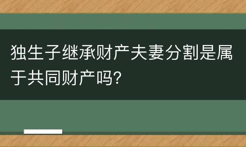 独生子继承财产夫妻分割是属于共同财产吗？