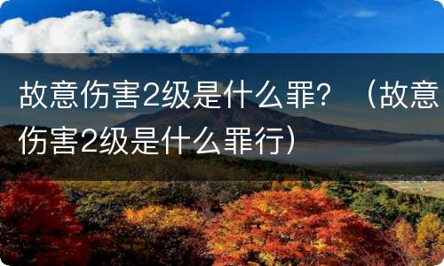 故意伤害2级是什么罪？（故意伤害2级是什么罪行）