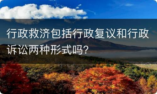 行政救济包括行政复议和行政诉讼两种形式吗？