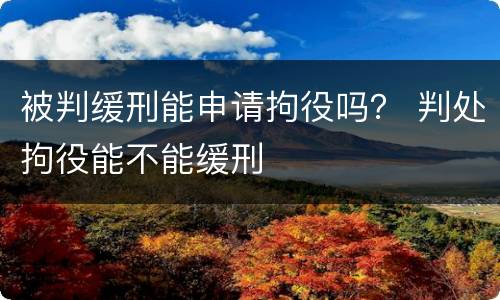 被判缓刑能申请拘役吗？ 判处拘役能不能缓刑