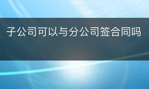 子公司可以与分公司签合同吗