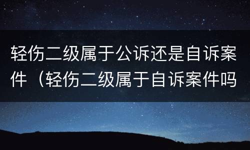 轻伤二级属于公诉还是自诉案件（轻伤二级属于自诉案件吗）