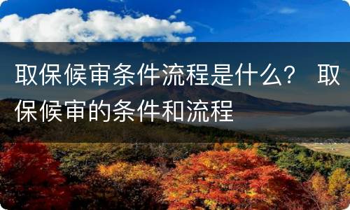 取保候审条件流程是什么？ 取保候审的条件和流程