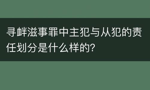 寻衅滋事罪中主犯与从犯的责任划分是什么样的？