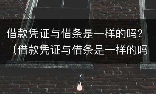 借款凭证与借条是一样的吗？（借款凭证与借条是一样的吗）